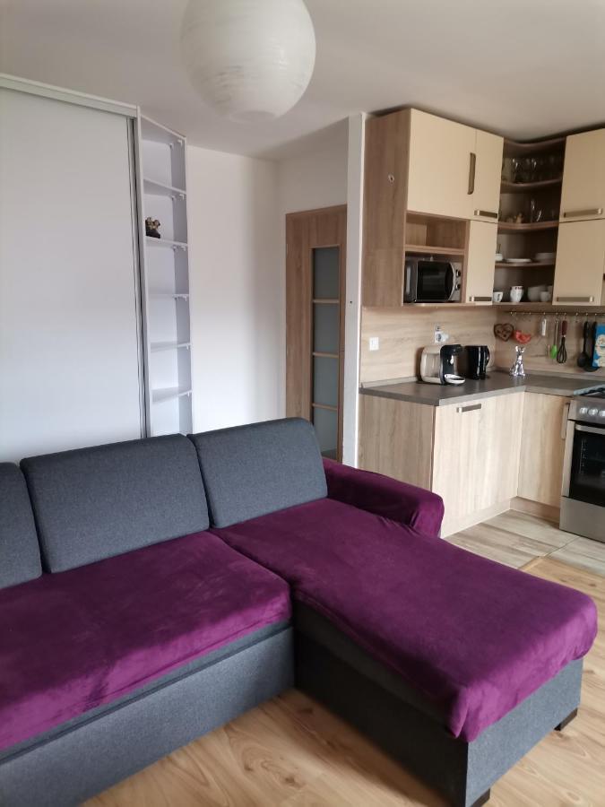 Apartman Family S Vyhladom Na Choc Lúčky エクステリア 写真